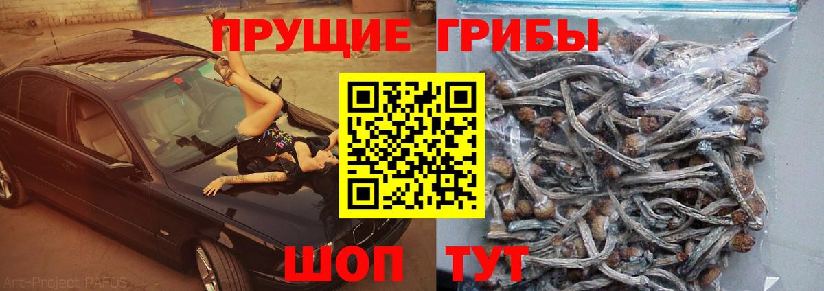Галлюциногенные грибы GOLDEN TEACHER Печора