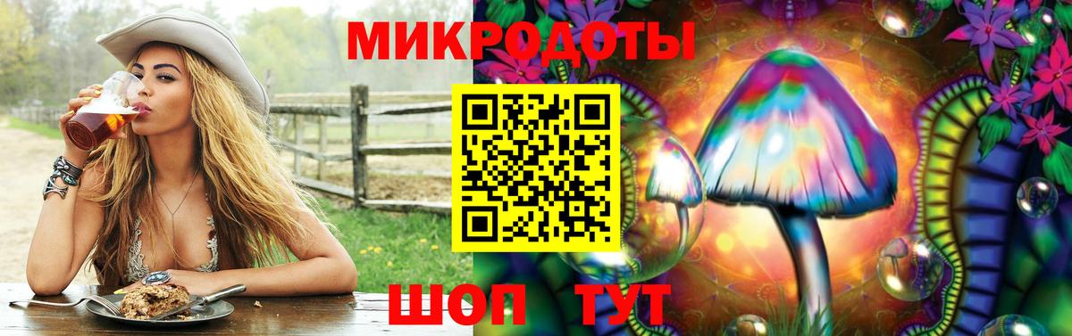 Печора  Галлюциногенные грибы Psilocybe  Вход с VPN 